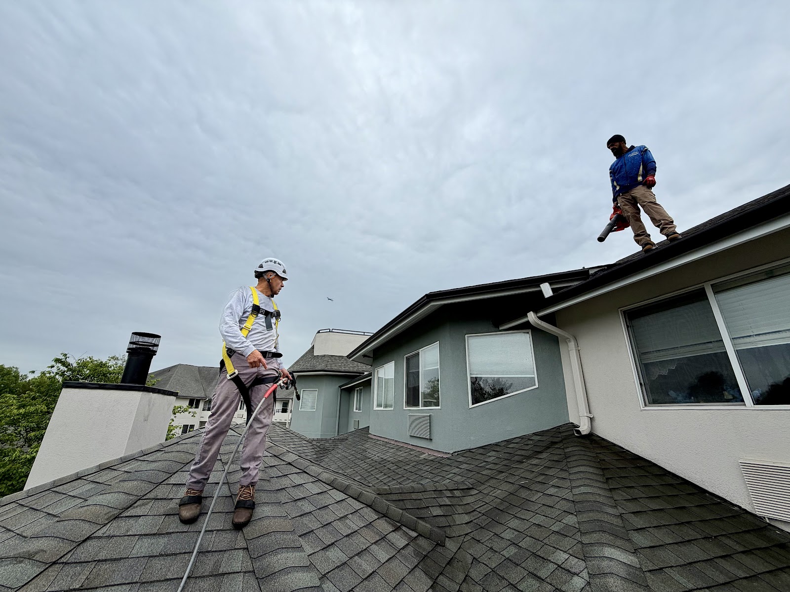 Roof Real Clean project photo